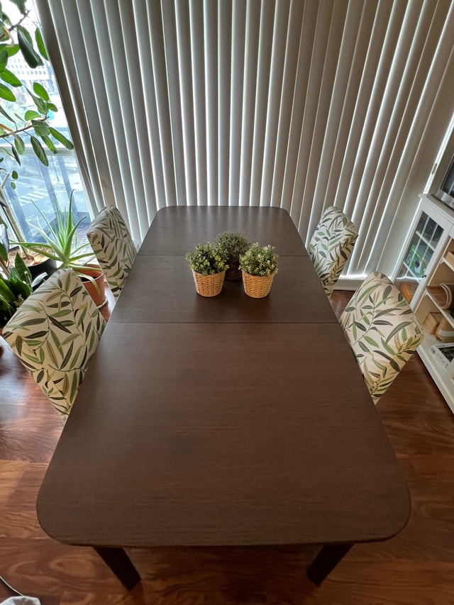 IKEA STRANDTORP Extendable Dining Table + 4 Chairs - photo 4