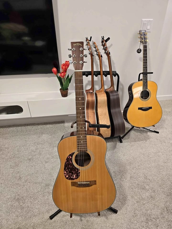 SIGMA GUITAR BY MARTIN & CO