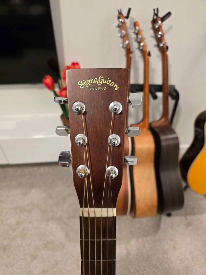 SIGMA GUITAR BY MARTIN & CO - photo 2