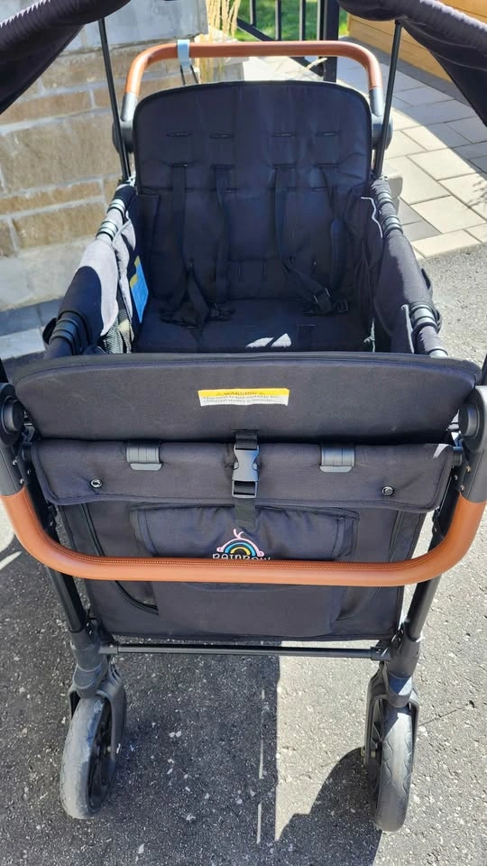 Rainbow Baby 4-Seater Stroller Wagon - photo 4