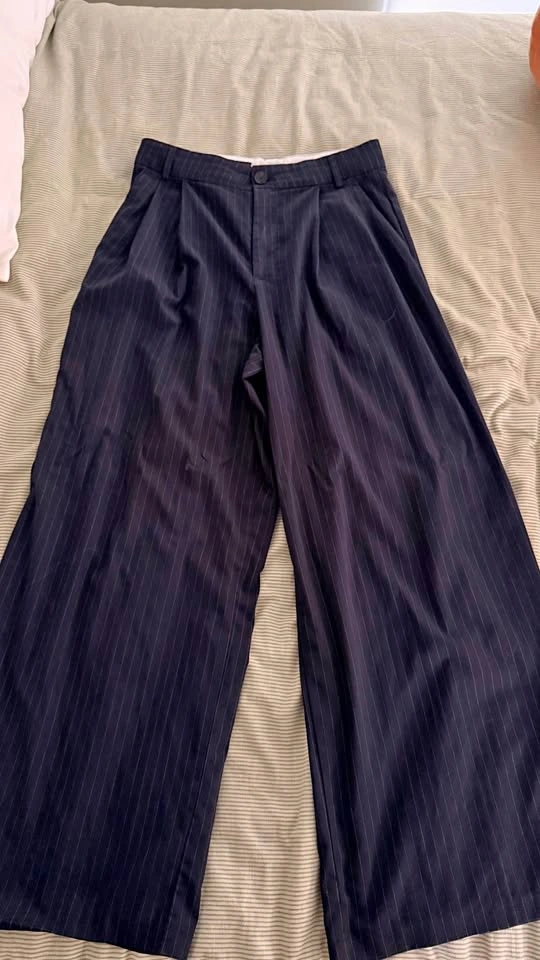 Zara Wide-Leg Pants
