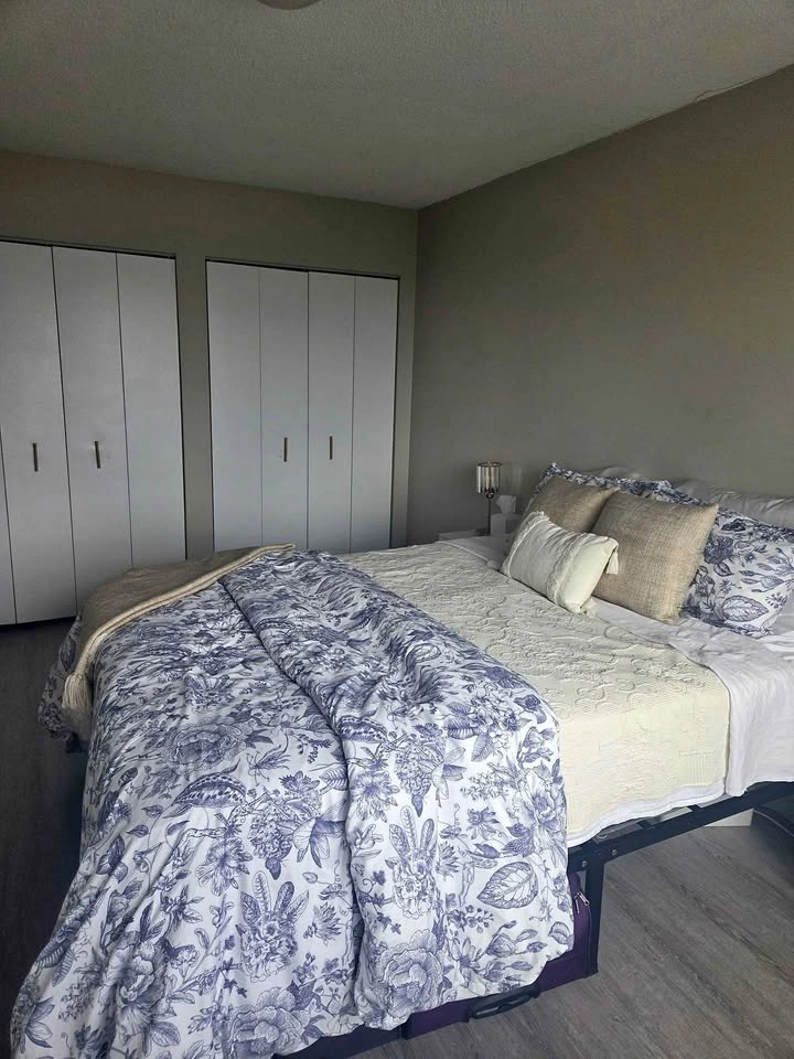 Queen size metal bed frame (no spring box needed)