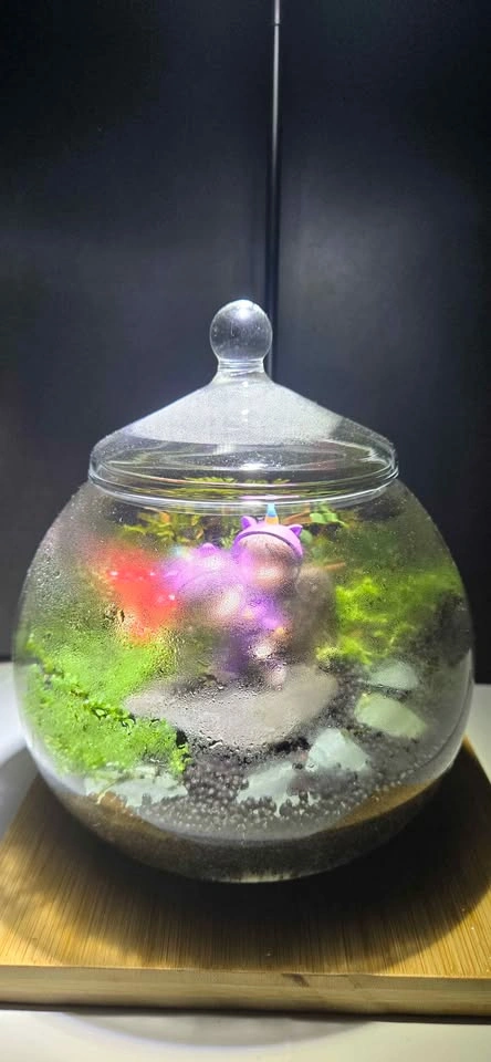 🌿 Handmade Fantasy Terrarium – Miniature Fairy Garden ✨ 🎁  gift - photo 2