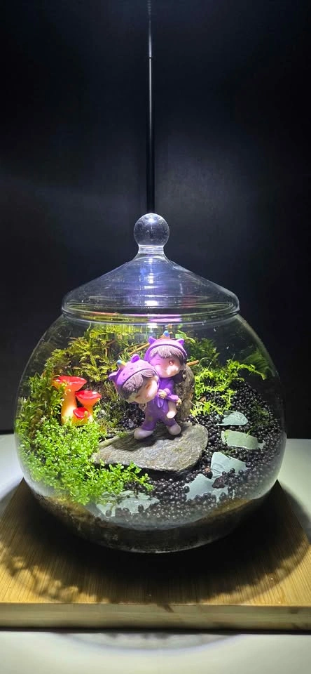 🌿 Handmade Fantasy Terrarium – Miniature Fairy Garden ✨ 🎁  gift - photo 3