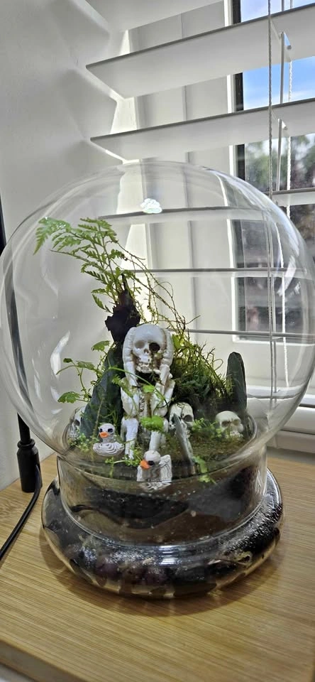 The Skeleton Forest Terrarium - Halloween 🎃 gift