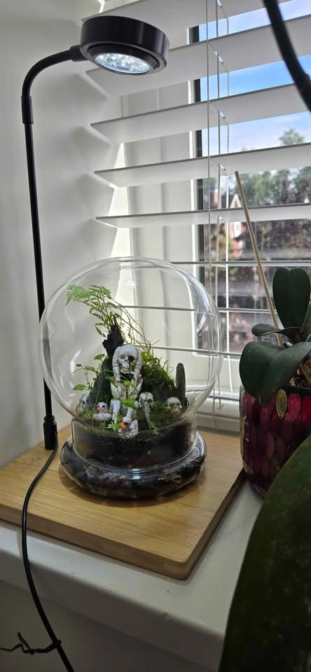 The Skeleton Forest Terrarium - Halloween 🎃 gift - photo 2