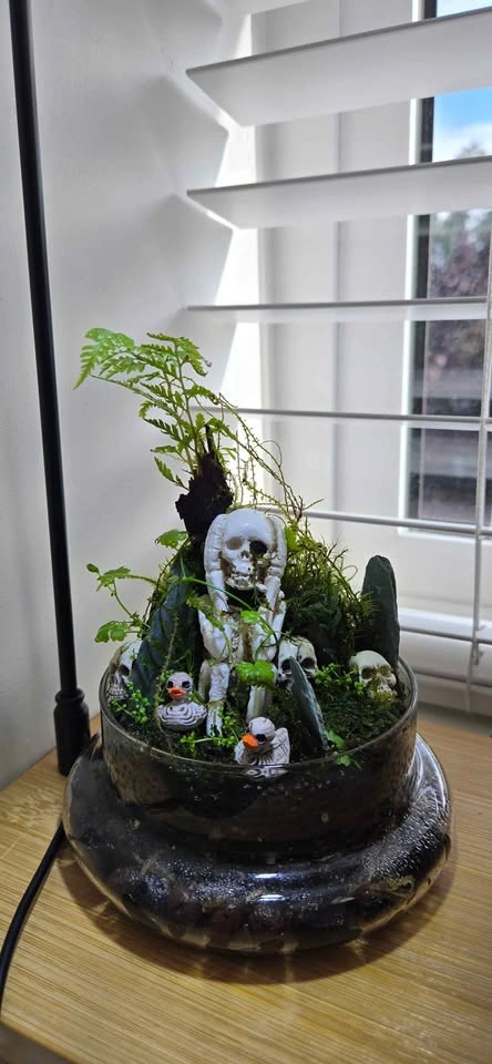 The Skeleton Forest Terrarium - Halloween 🎃 gift - photo 3