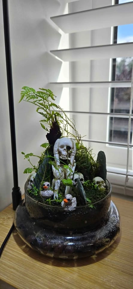 The Skeleton Forest Terrarium - Halloween 🎃 gift - photo 4