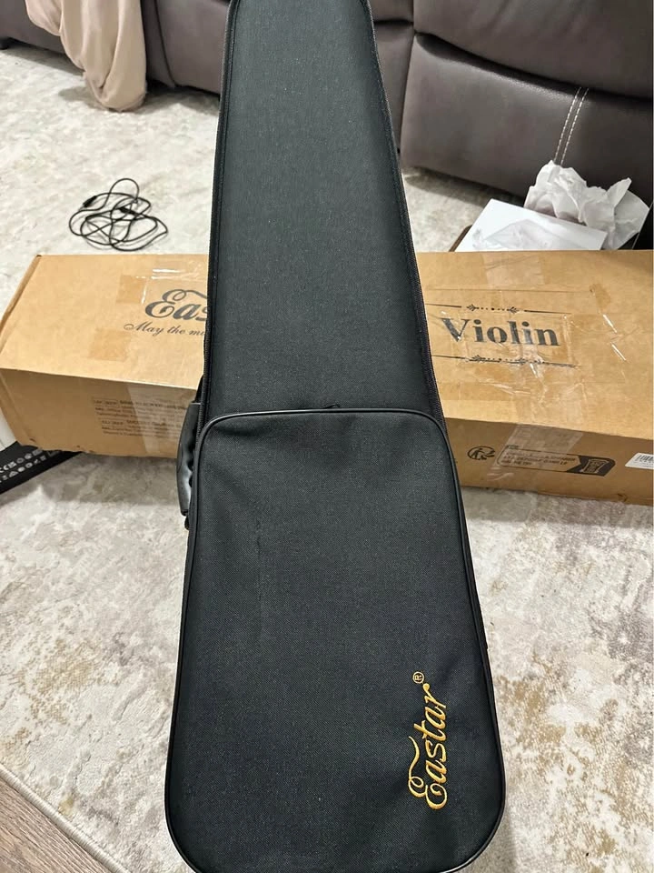 Eastar Violin with Case - photo 2