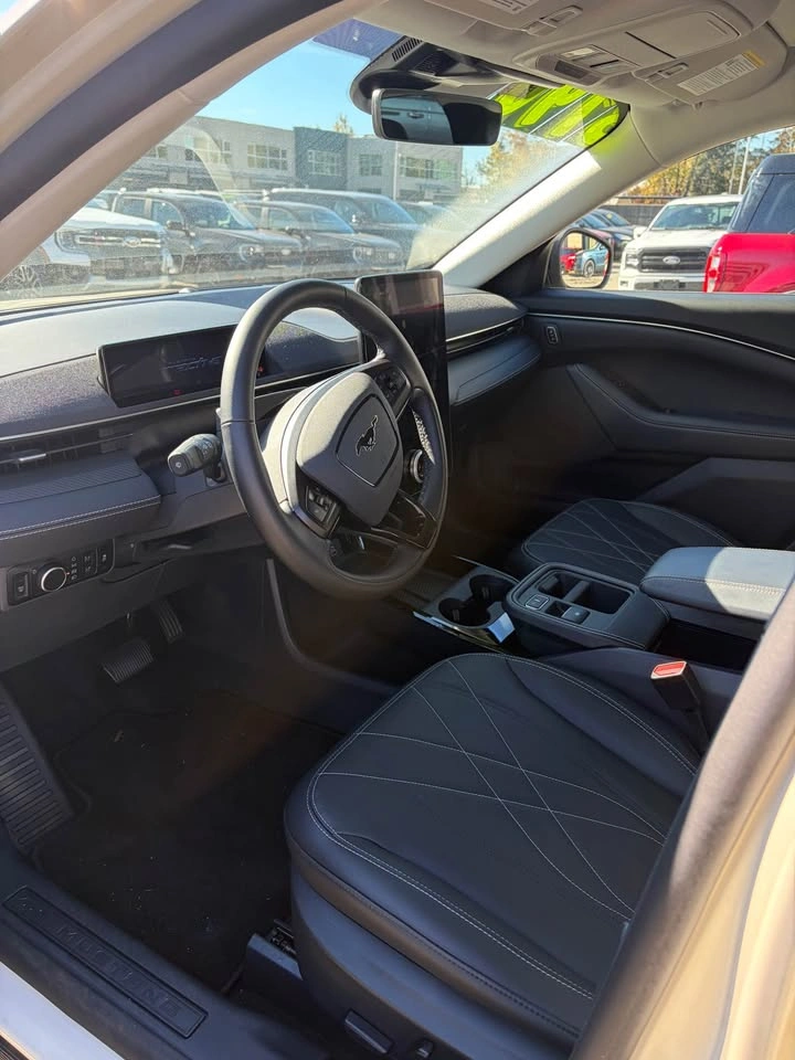 2025 Ford Mustang MACH-E - photo 5