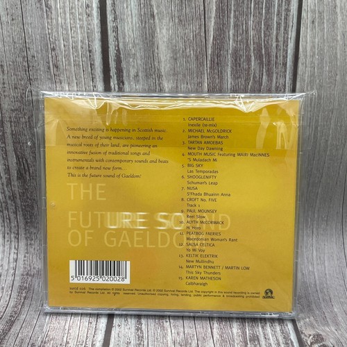The Future Sound of Gaeldom (2002 Celtic Music CD, Sealed) - photo 2