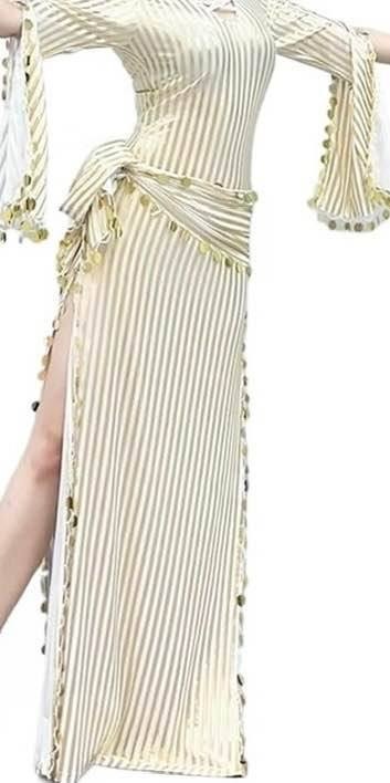 Belly Dance Costume Dress