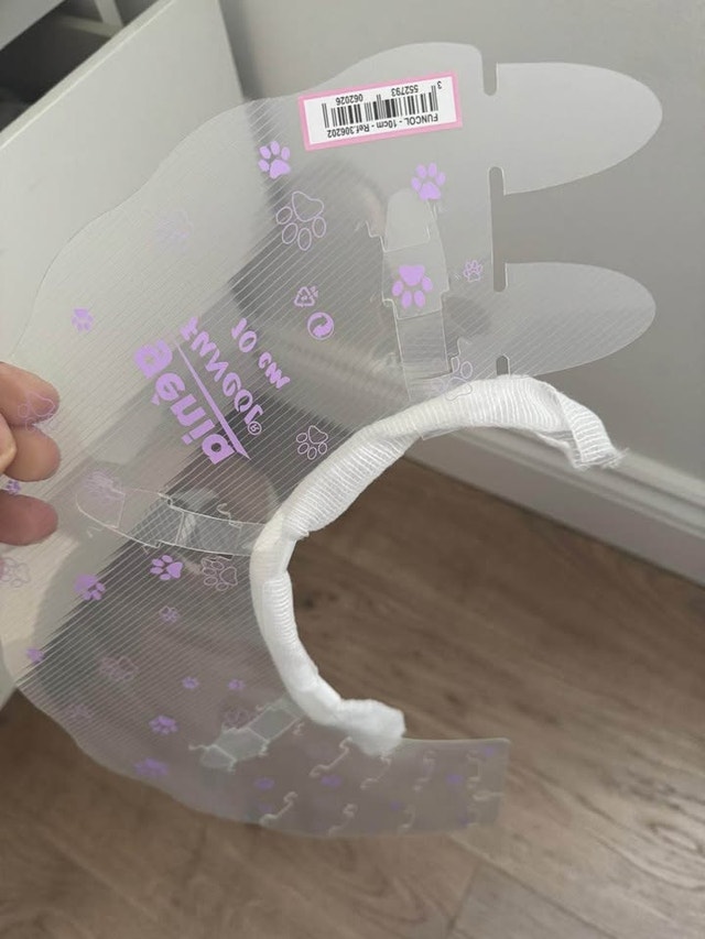 Pet Surgical Suit and E-Cone - photo 2