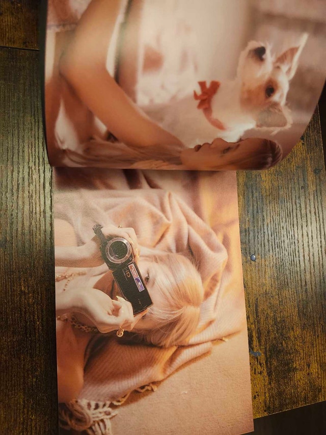 Rose 'R' album - photo 4
