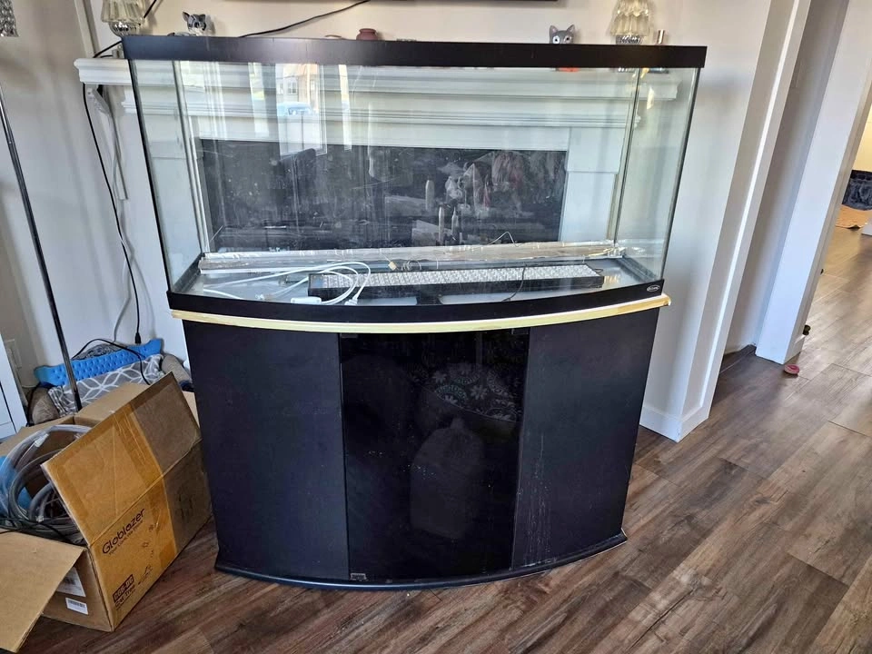 75G bow front aquarium