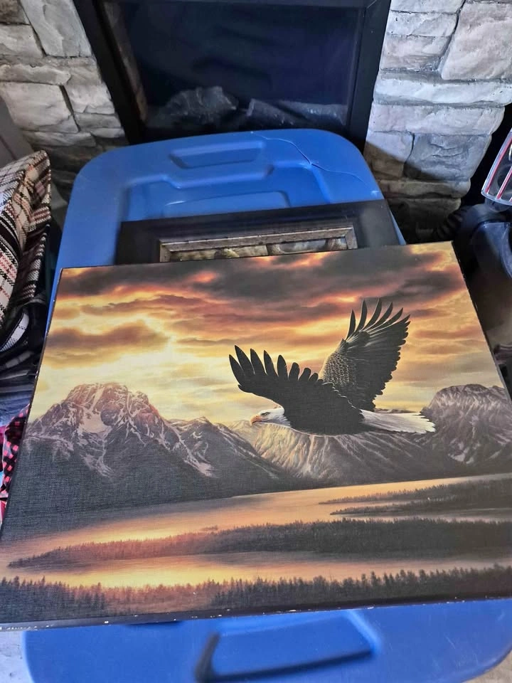 Bald Eagle Mountain Landscape Wall Art