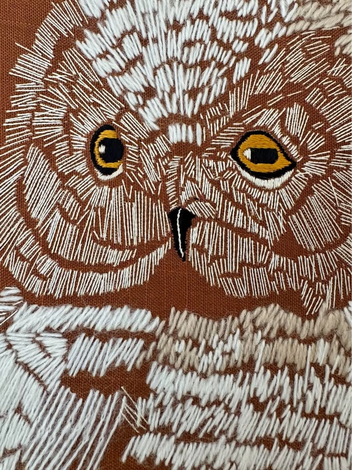 Vintage Owl Embroidery Wall Art | 1970s MCM Boho Framed Textile - photo 5