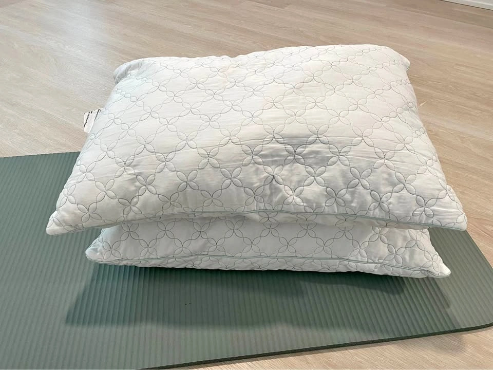 Pillows Martha Stewart set of 2