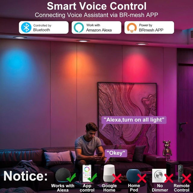 Smart Recessed Pot Lights LED 4 Inch, Bluetooth RGB 4 Pack - photo 3