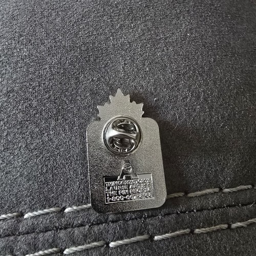 New PanAm Games Toronto 2015 Parapan Am Pin Canadian Olympic Tea - photo 4