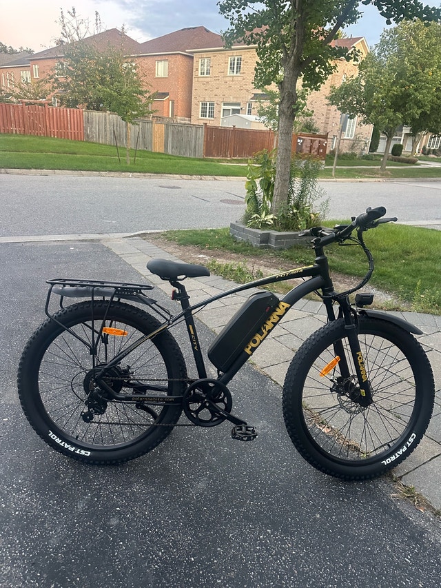 NEW Polarna Electric Bicycle