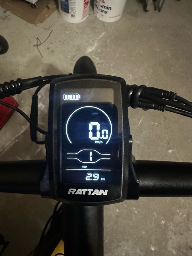 NEW Polarna Electric Bicycle - photo 2