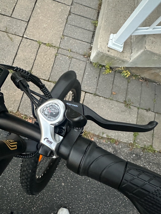 NEW Polarna Electric Bicycle - photo 3