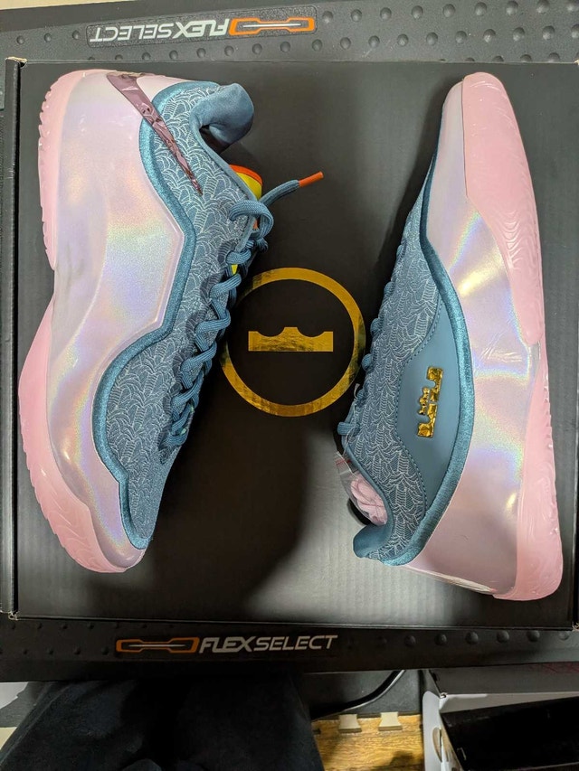 Nike Lebron 23