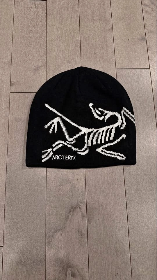 Arc Beanie