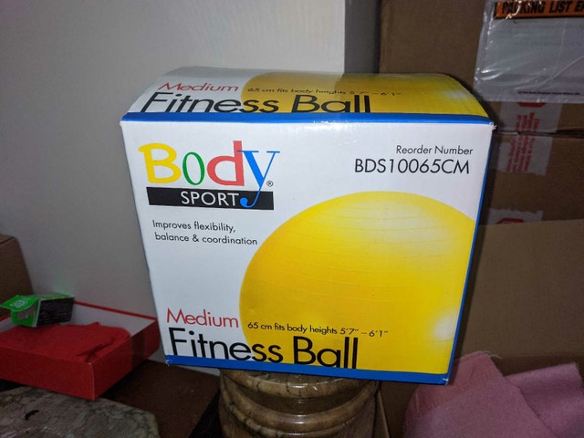 Body Sport Fitness Exercise Yoga Ball
