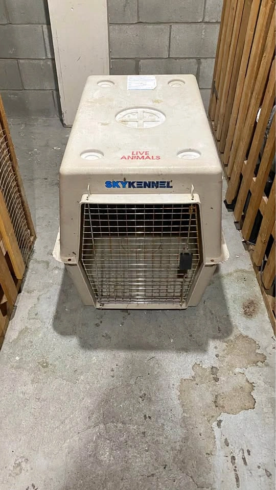 Animal Crate | XL Air Shipping Transport Box
