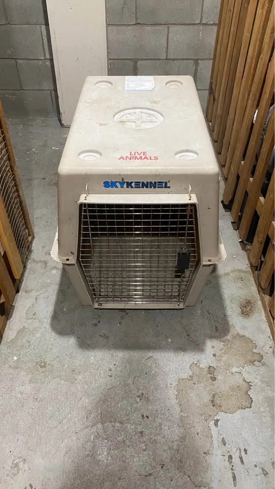 Animal Crate | XL Air Shipping Transport Box - photo 3