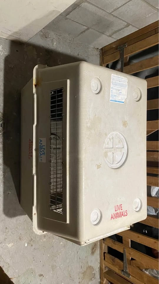 Animal Crate | XL Air Shipping Transport Box - photo 4