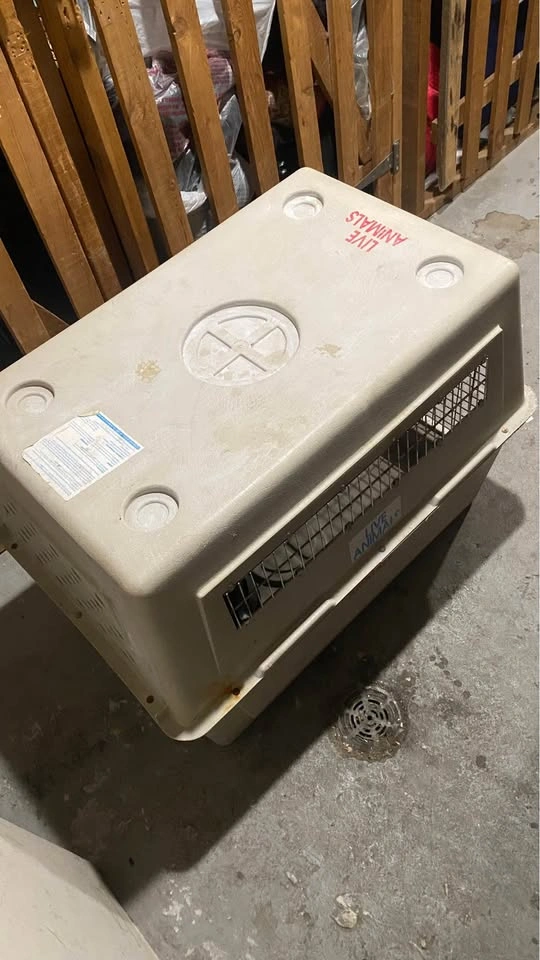 Animal Crate | XL Air Shipping Transport Box - photo 5