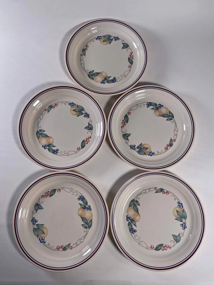 Corelle 8.5" inch Plates | Set of 5