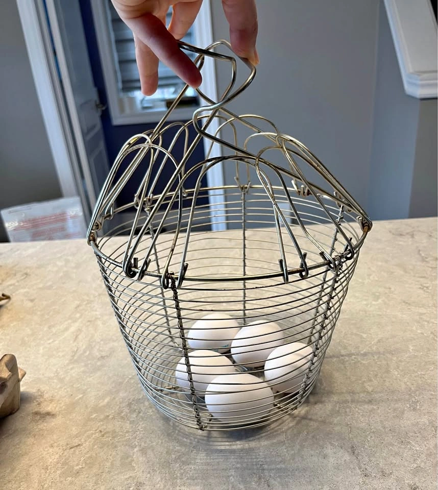 Vintage Wire Egg and Fruit Basket