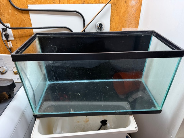 25 gallon glass Aquarium