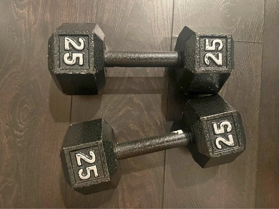 2 x 25lb Iron Dumbbells