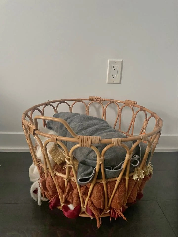 Rattan Basket