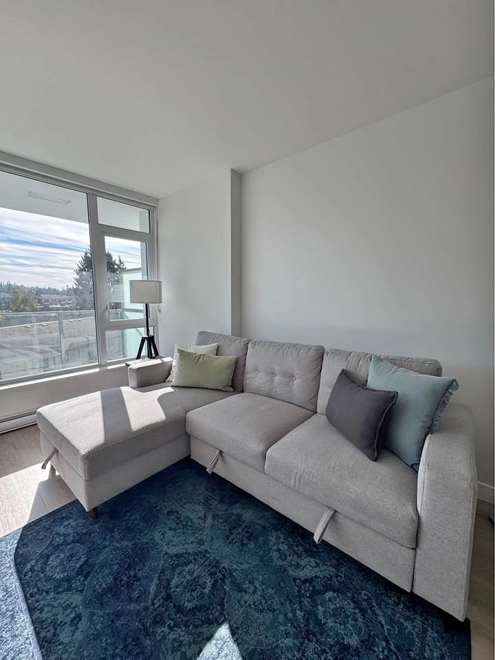 Sectional Sofa Bed with Storage