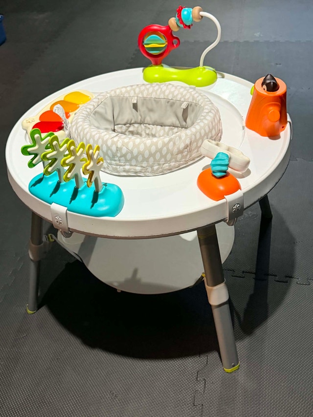 Skip Hop Explore & More Baby Activity Center