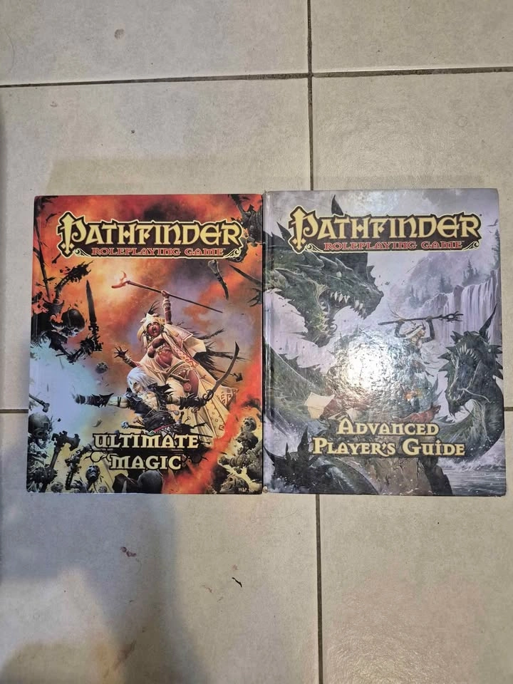 2 Pathfinder books for sale (P1)