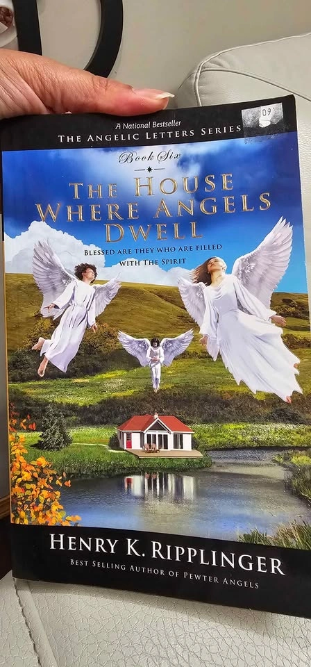 THE ANGELIC LETTERS SERIES 6 books - photo 4