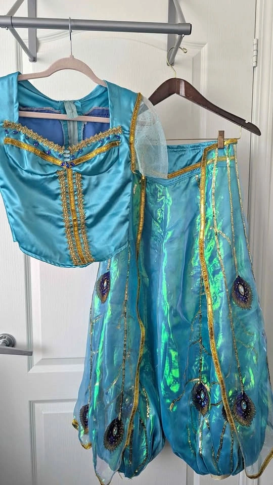 Adult Custom Made Princess Jasmine Costume