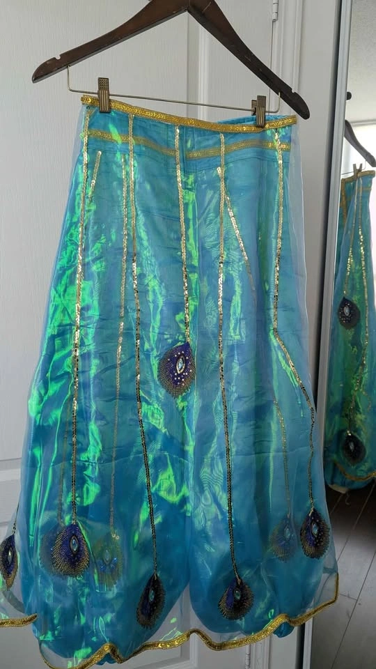 Adult Custom Made Princess Jasmine Costume - photo 2