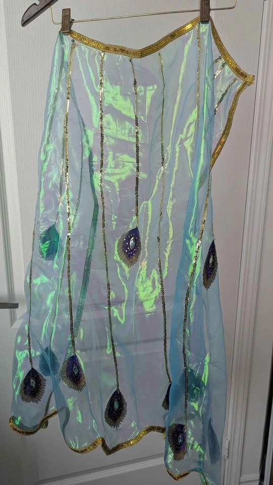 Adult Custom Made Princess Jasmine Costume - photo 4