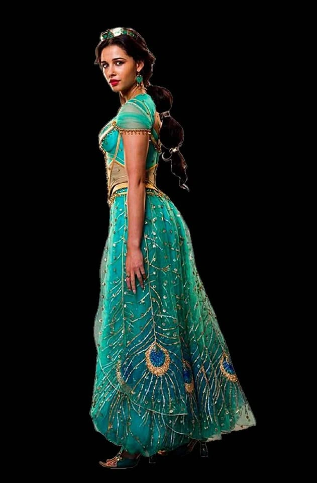 Adult Custom Made Princess Jasmine Costume - photo 5