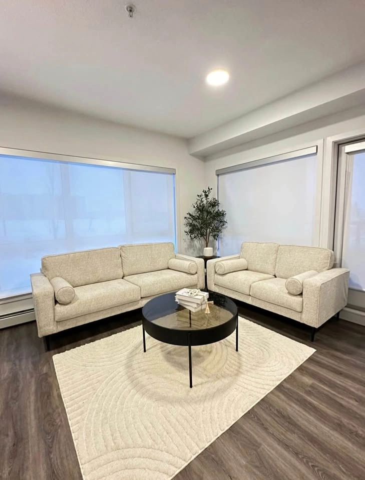 Ashley’s 3 seater + Love seat