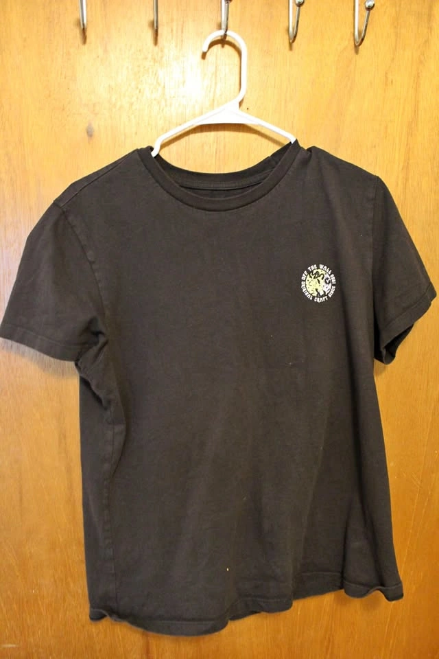 Vans graphic tshirt