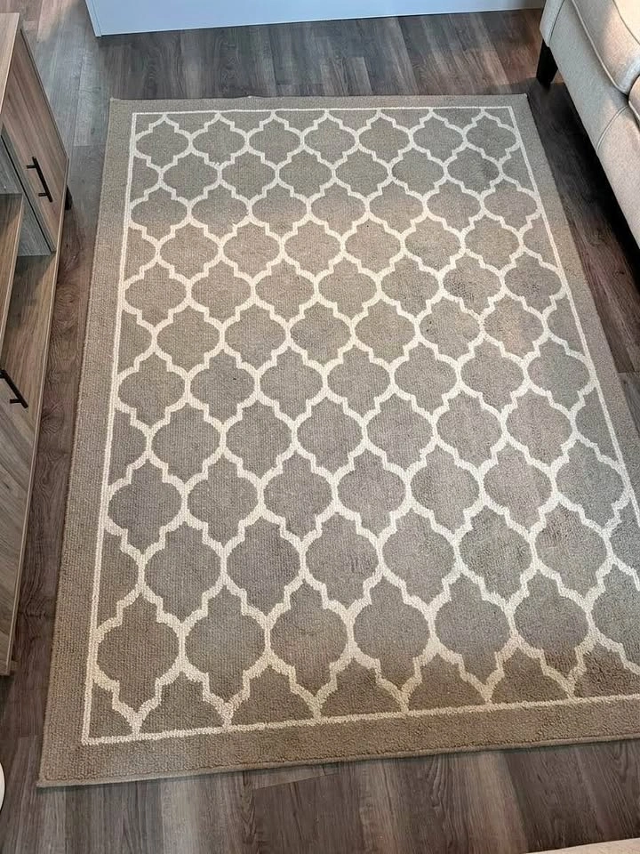 Area Rug for $40